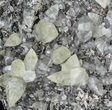 Twinned Calcite Crystals With Chalcopyrite - Missouri #35931-1